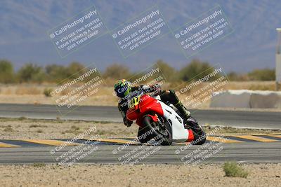 media/Mar-22-2025-CVMA (Sat) [[462c0ffedb]]/Race 3-Amateur Formula Open/